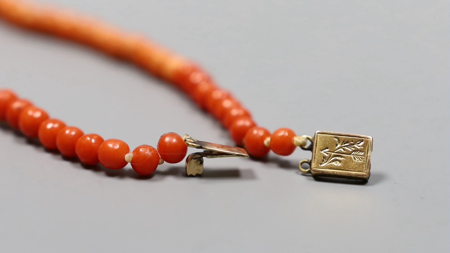 A single strand graduated coral bead child's necklace, with yellow metal clasp, 28cm.